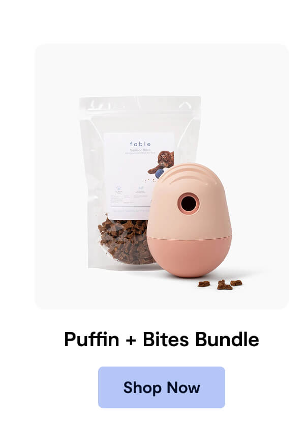 Puffin + Bites Bundle