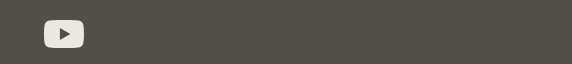 YouTube social media icon.