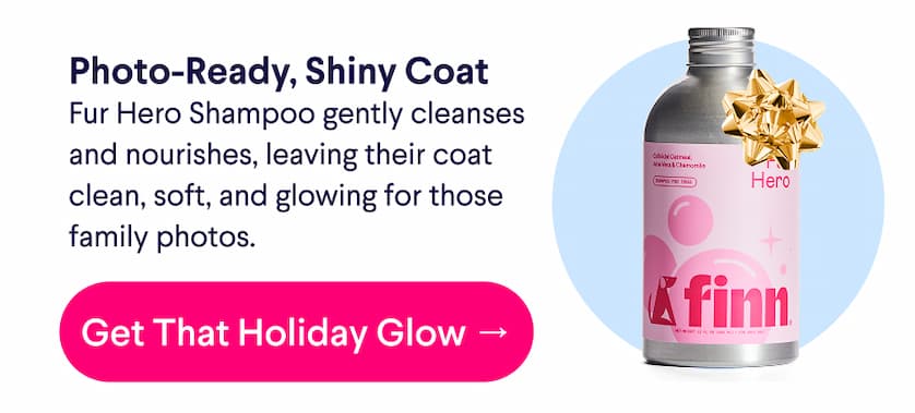 Finn logo. Text:Photo-Ready, Shiny Coat Fur Hero Shampoo gently cleanses and nourishes, leaving their coat clean, soft, and glowing for those family photos. CTA: Get That Holiday Glow →