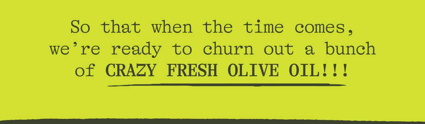 So that when the time comes, we’re ready to churn out a bunch of CRAZY FRESH OLIVE OIL!!!