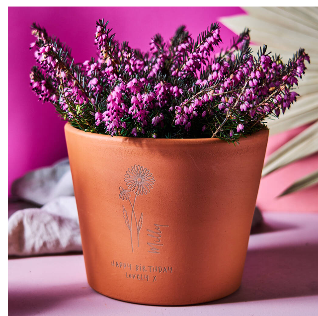 Birth Flower Birthday Gift Terracotta Plant Pot