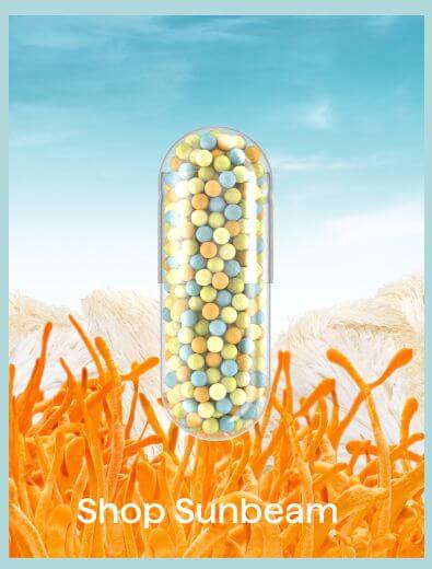 Shop SunBeam