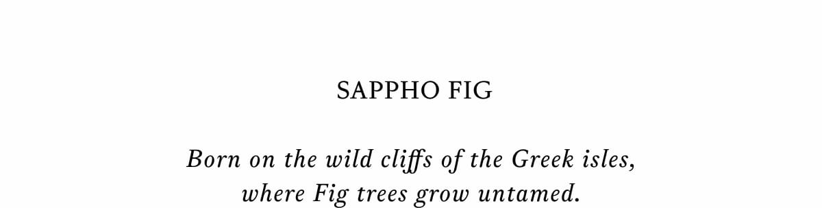 Sappho Fig Candle