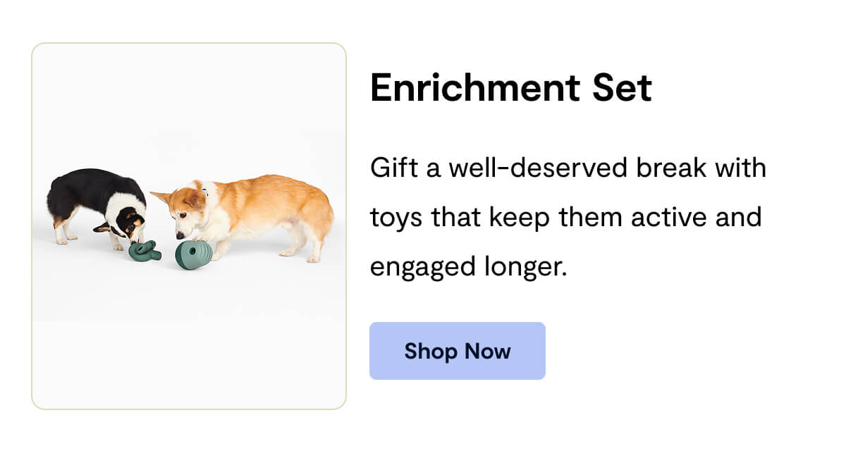 Enrichment Set: Gift a well-deserved break with toys that keep them active and engaged longer.&nbsp;