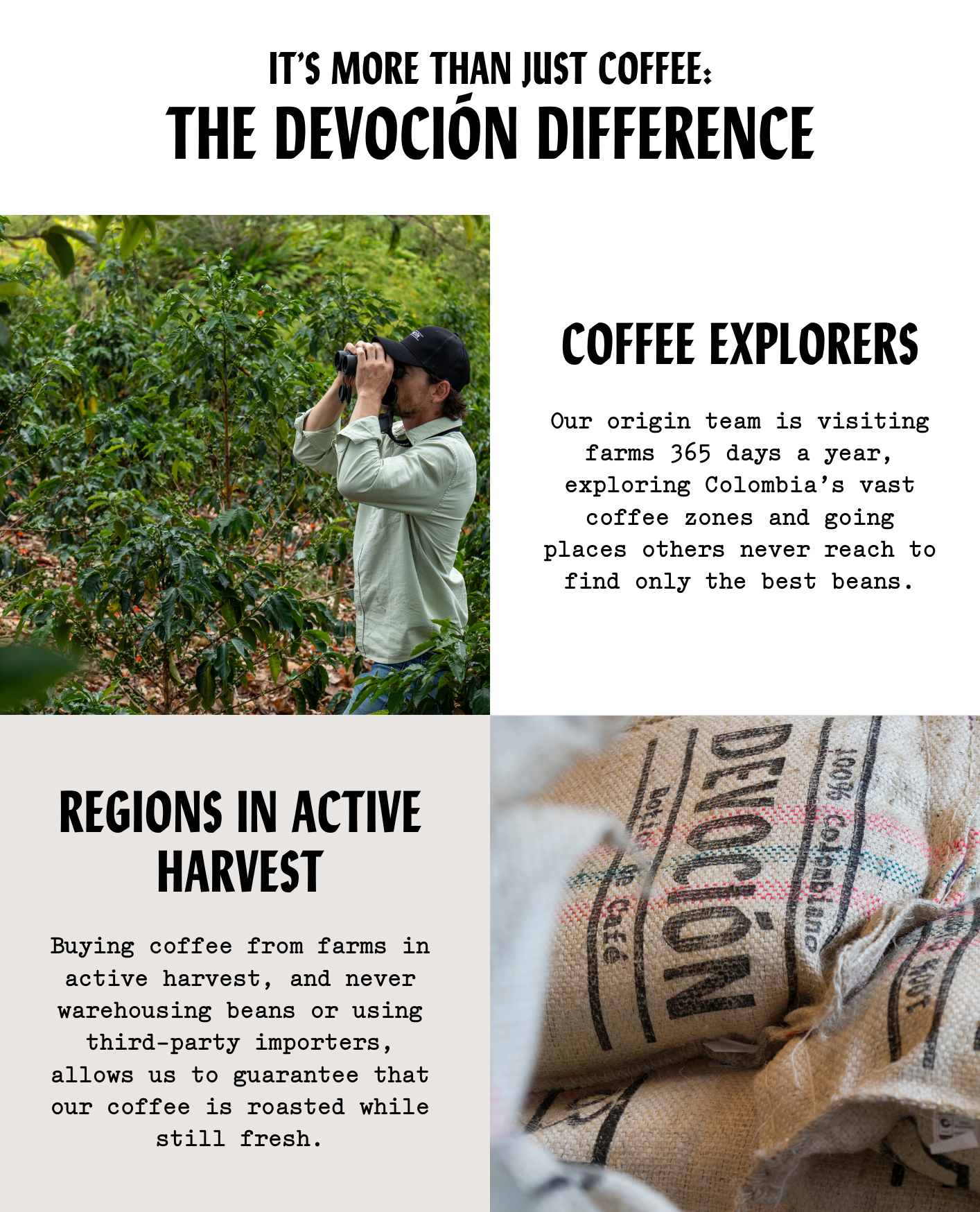 It's more than just coffee: The Devocion Difference. Coffee Explorers - Our origin team is visiting farms 365 days a year, exploring Colombia's vast coffee zones and going places others never reach to find only the best beans. Regions in Active Harvest - Buying coffee from farms in active harvest, and never warehousing beans or using third-party importers, allows us to guarantee that our coffee is roasted while still fresh. 