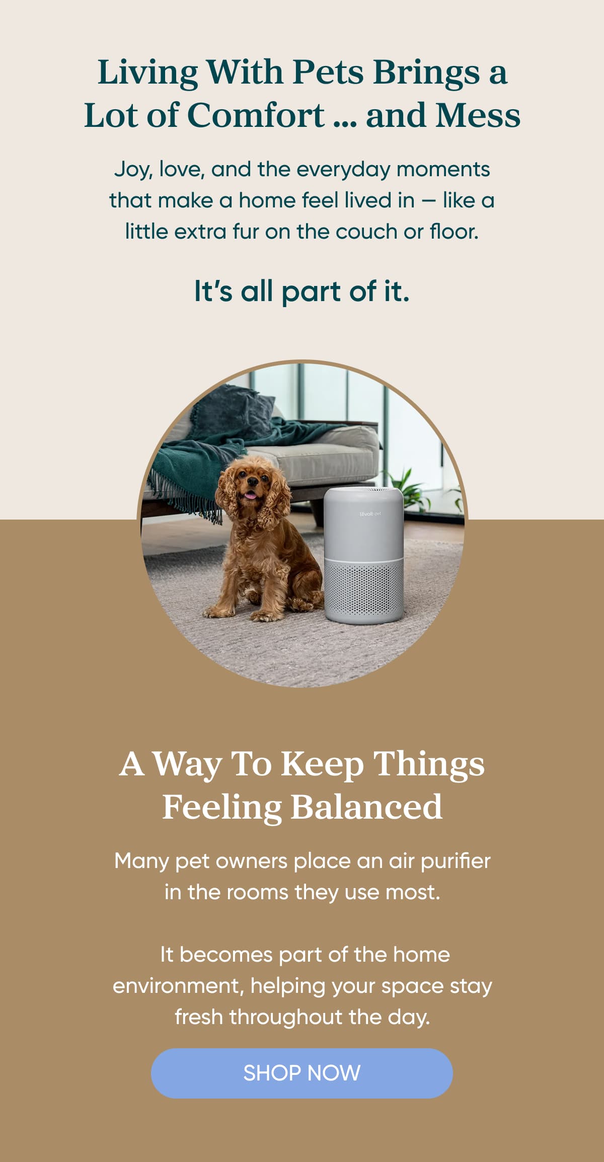 Living With Pets Brings a Lot of Comfort ... and Mess