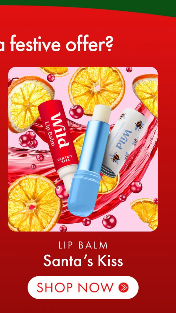 BEE CASE AND SANTAS KISS