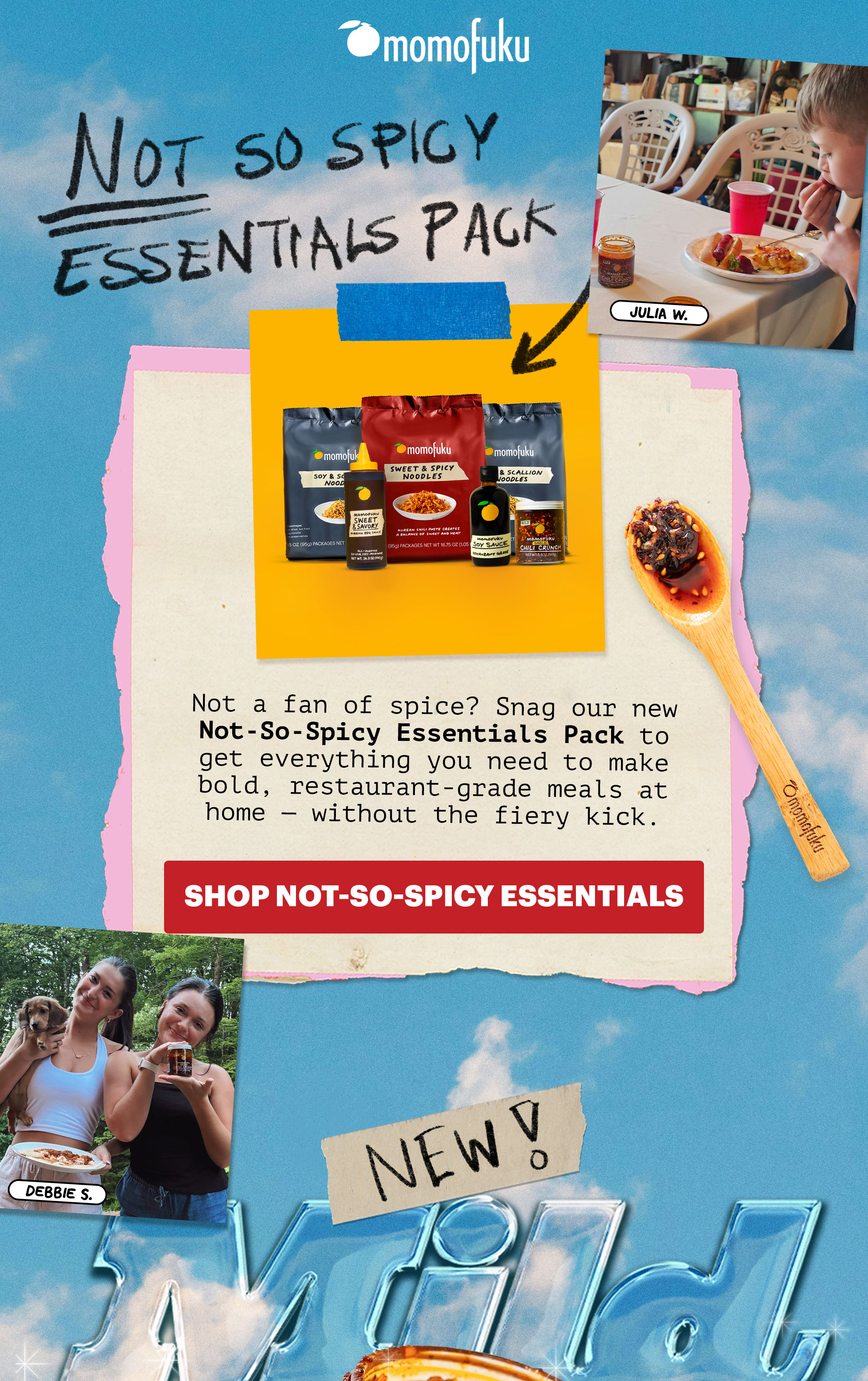 Header: NOT-SO-SPICY ESSENTIALS PACK  Sub-header: Not a fan of spice? Snag our new Not-So-Spicy Essentials Pack to get everything you need to make bold, restaurant-grade meals at home — without the fiery kick.   CTA: SHOP NOT-SO-SPICY ESSENTIALS 