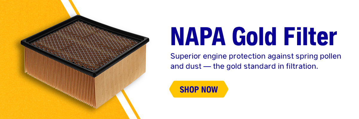 NAPA Gold Filter 