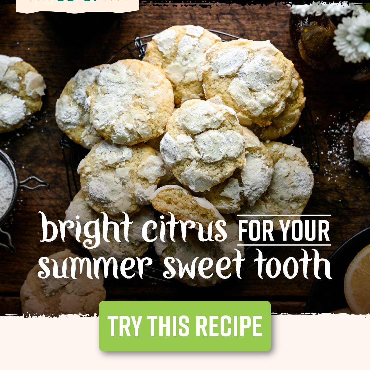 Bright Citrus for Your Summer Sweet Tooth