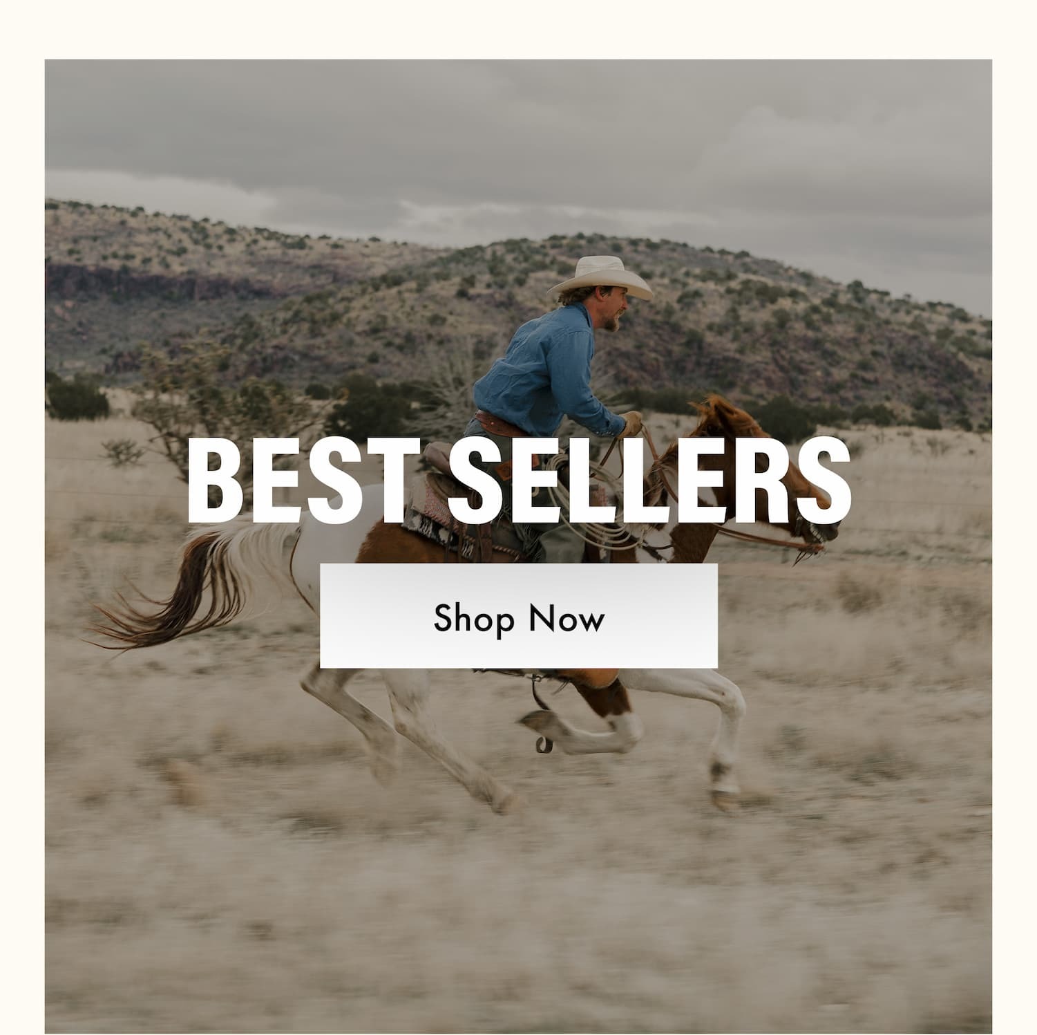 BEST SELLERS - Shop Now