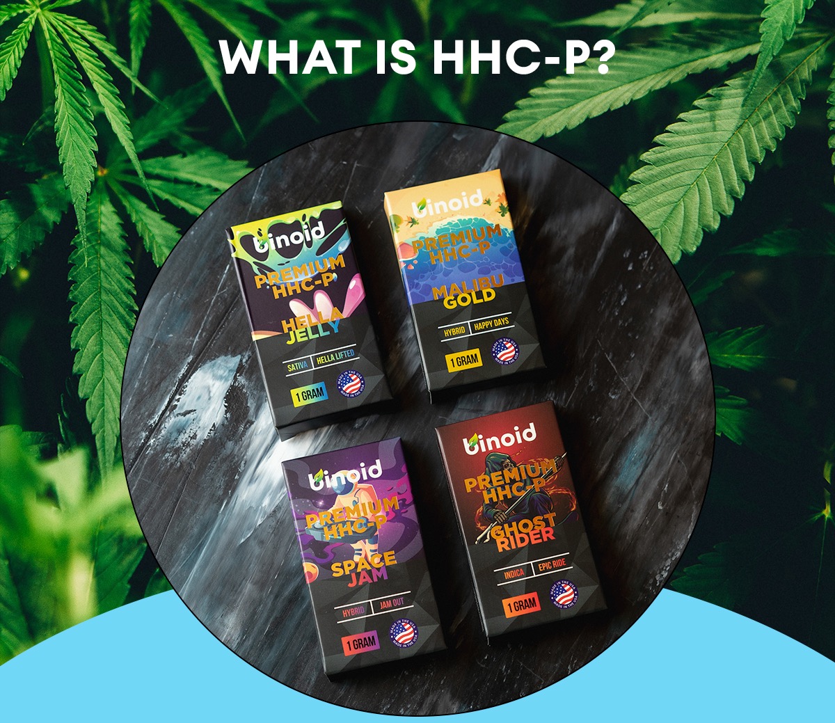 What Is HHC-P?