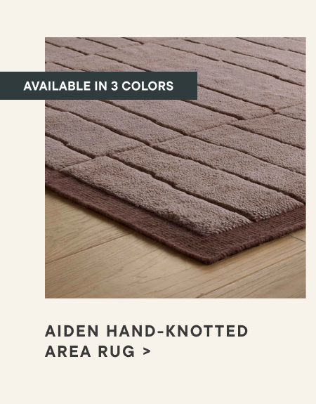 Aiden Rug