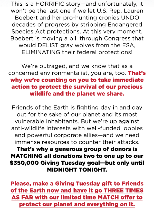 This is a HORRIFIC story--and unfortunately, it won't be the last one if we let U.S. Rep. Lauren Boebert and her pro-hunting cronies UNDO decades of progress by stripping Endangered Species act. At this very moment, Boebert is moving a bill through Congress that would DELIST gray wolves from the ESA, ELIMINATING their federal protections!

We're outraged, Andy, and we know that as a concerned environmentalist, you are, too. That's why we're countin on you to take immediate action to protect the survival of our precious wildlife and the planet we share.

Friends of the Earth is fighting day in and day out for the sake of our planet and its most vulnerable inhabitants. But we're up against anti-wildlife interests with well-funded lobbies and powerful corporate allies--and we need immense resources to counter their attacks. That's why a generous group of donors is MATCHING all donations two to one up to our $350,000 Giving Tuesday goal--but only until MIDNIGHT TONIGHT.

Please, make a Giving Tuesdsay gift to Friends of the Earth now and have it go THREE TIMES AS FAR with our limited time MATCH offer to protect our planet and everything on it.