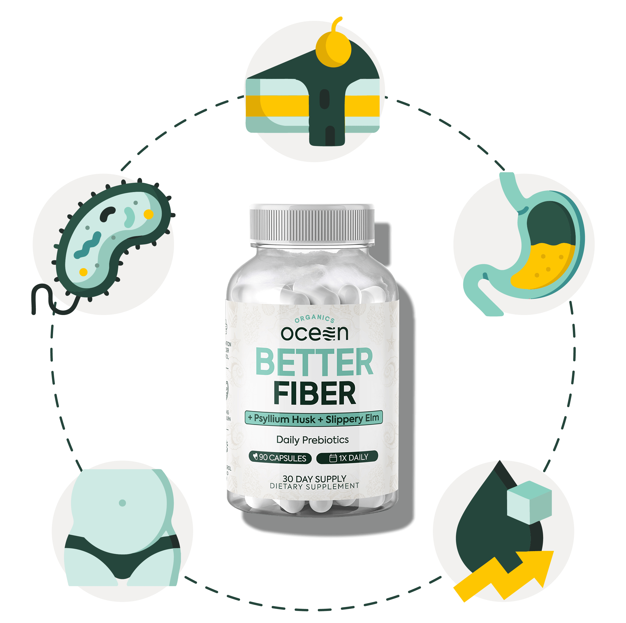 Benefits of Better FIber