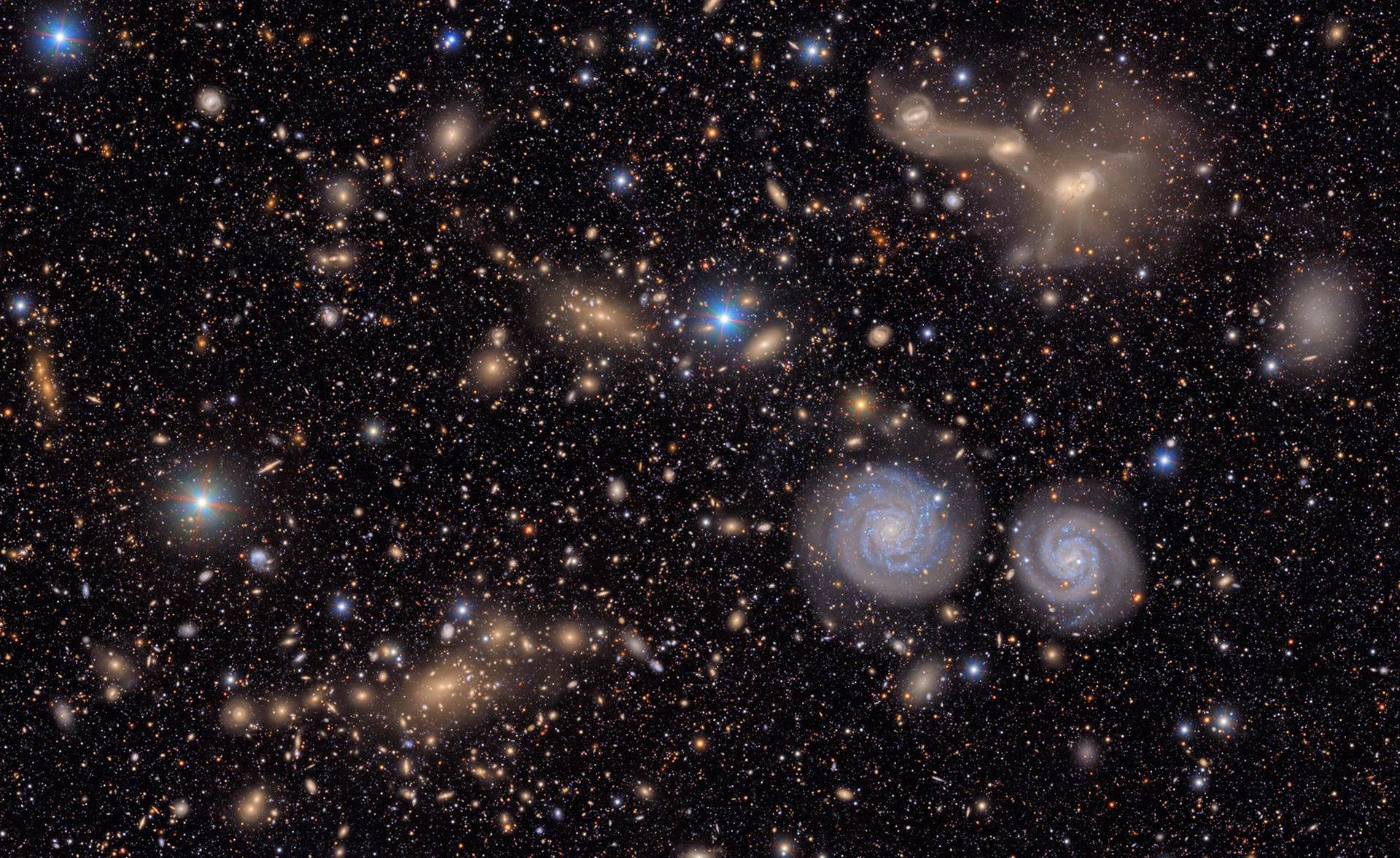 Stars