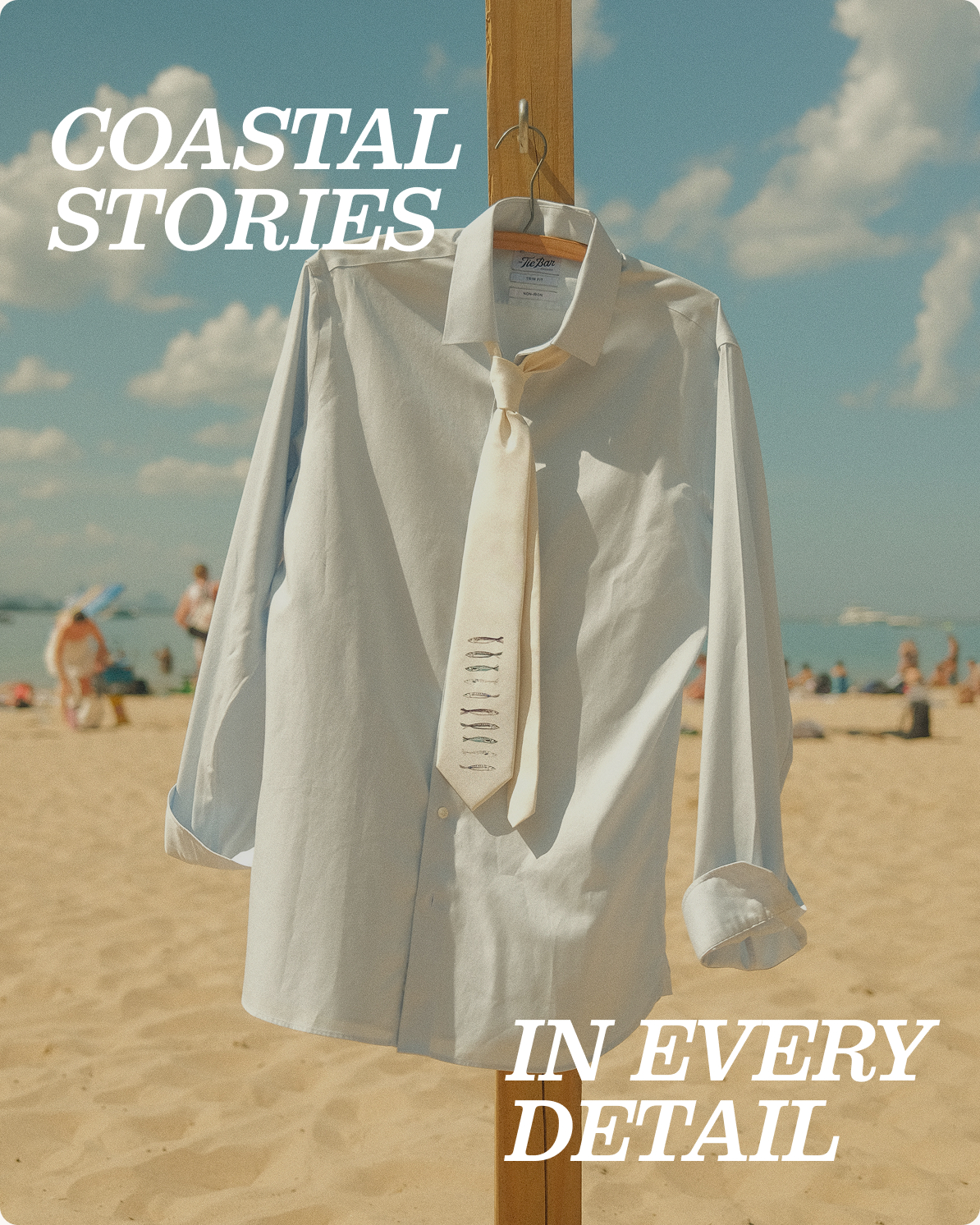 Coastal Stories in Every Detail