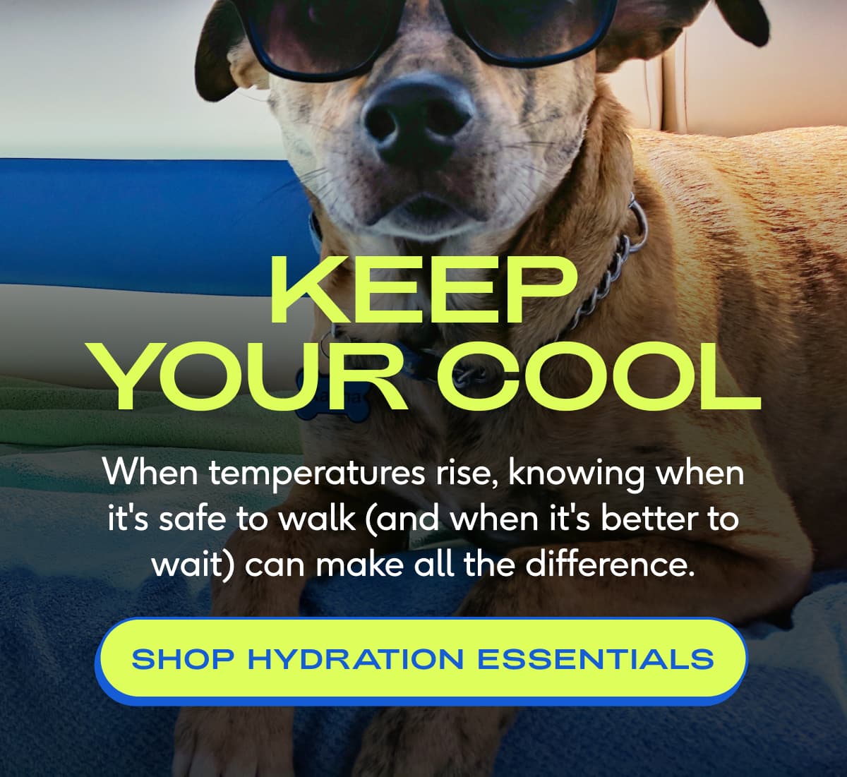 keep your cool When temperatures rise, knowing when it's safe to walk (and when it's better to wait) can make all the difference. SHOP HYDRATION ESSENTIALS 