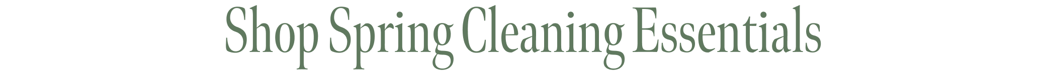 Shop Spring Cleaning Essentials