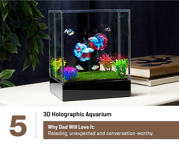 3D Holographic Aquarium