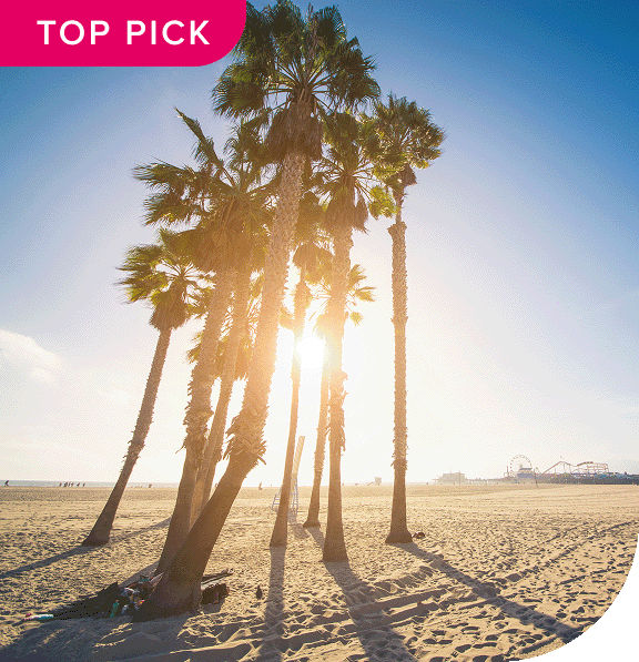 Top Pick. Palm trees on a sandy beach in Los Angeles.