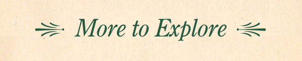More to Explore