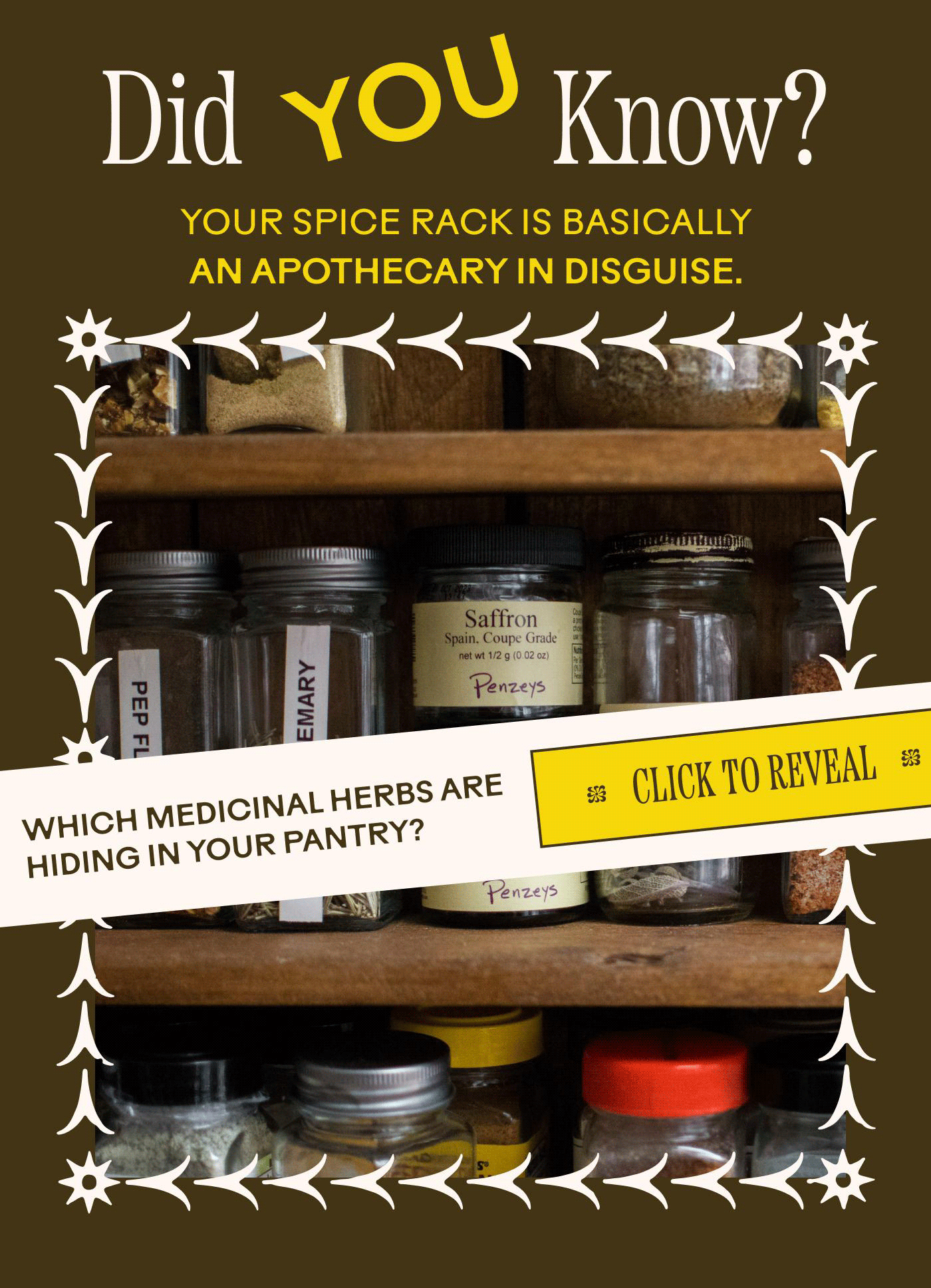 Did YOU Know? YOUR SPICE RACK IS BASICALLY AN APOTHECARY IN DISGUISE.  WHICH MEDICINAL HERBS ARE HIDING IN YOUR PANTRY? ✽✽ CLICK TO REVEAL ✽✽