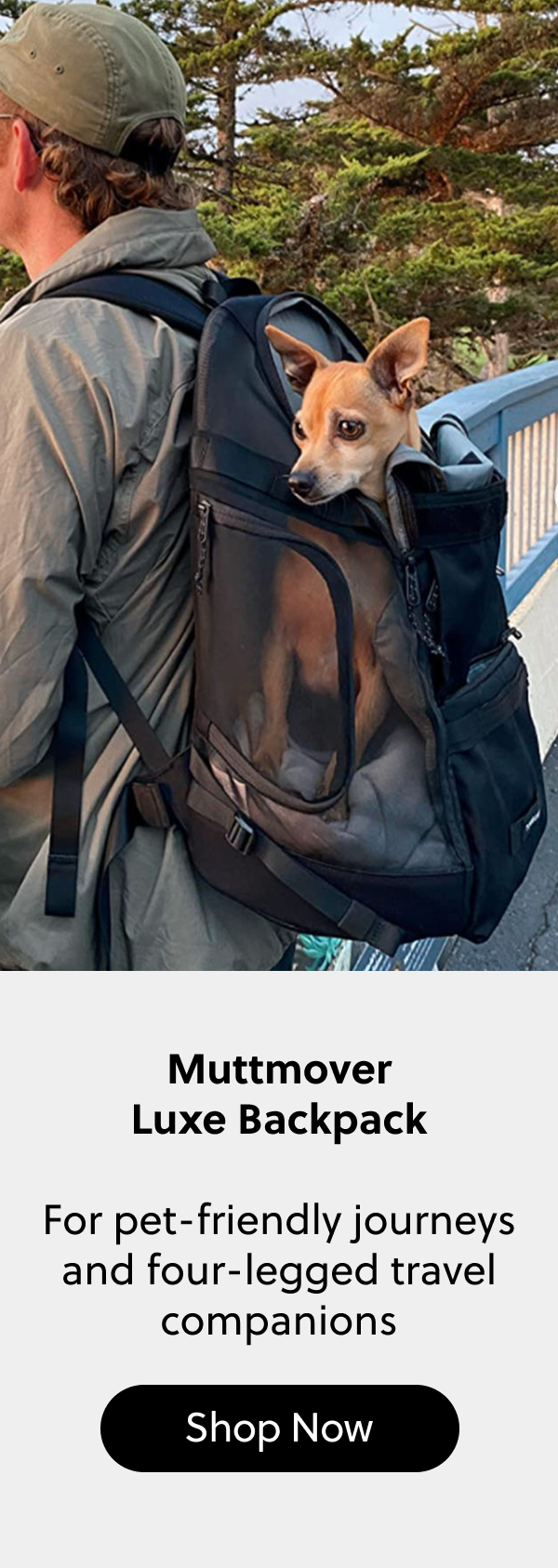 Muttmover Luxe Backpack