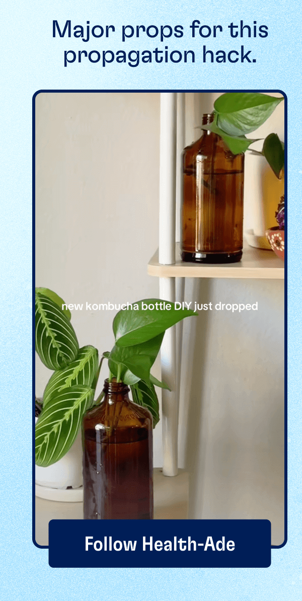 Major props for this propagation hack. | Follow Health-Ade