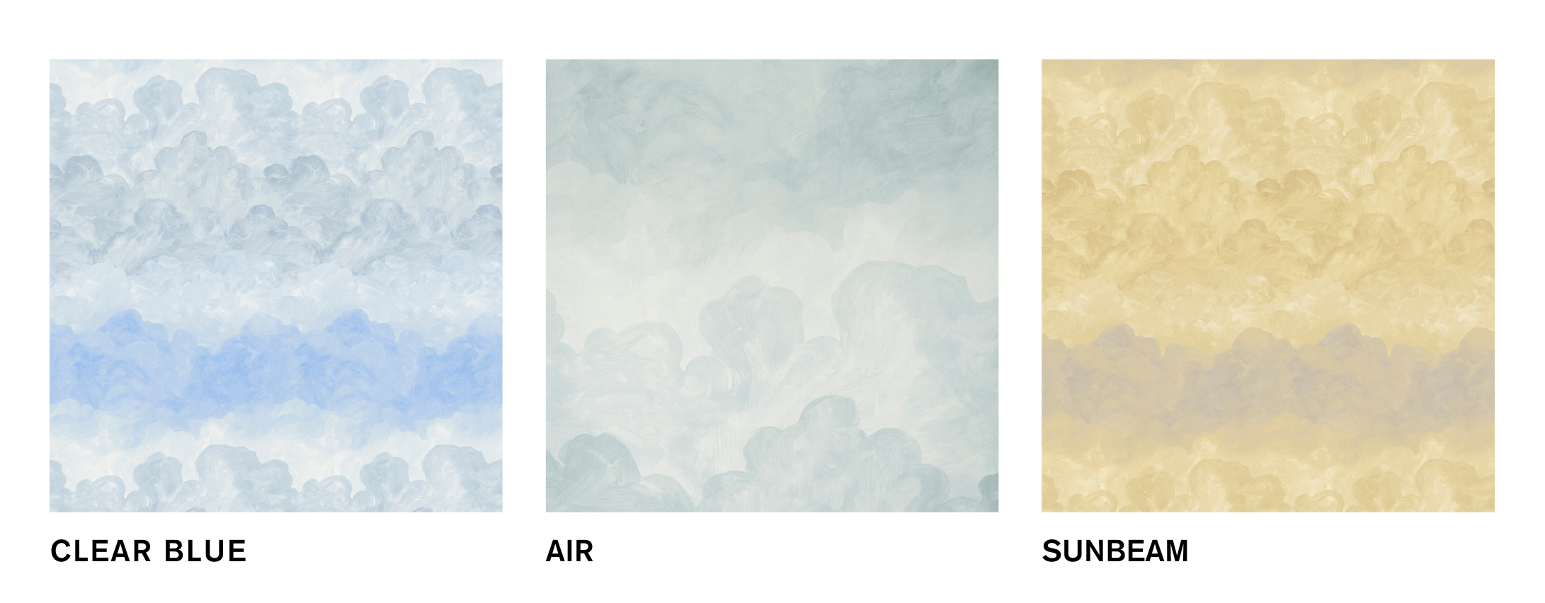 PAINTED SKY