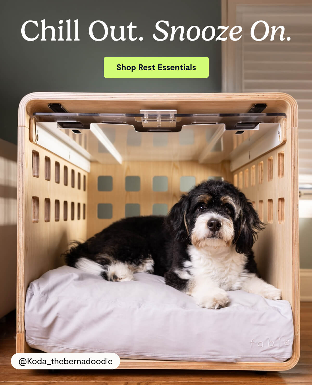 Chill Out. Snooze On.