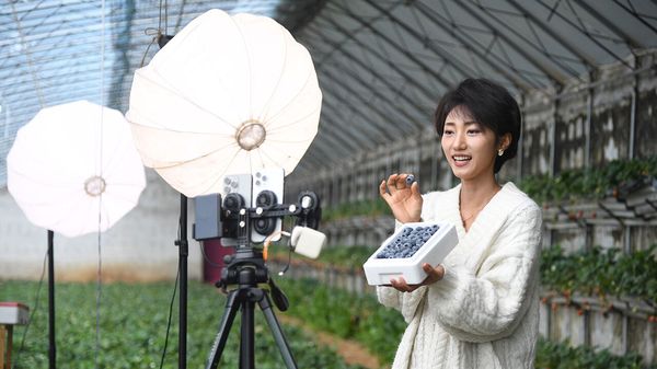  A woman promotes blueberries via live-streaming at a greenhouse in Pinggu District of Beijing, capital of China, Feb. 26, 2026.