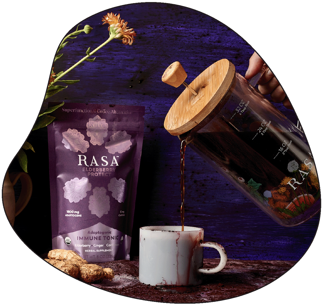 Boost Immunity with Elderberry Protect