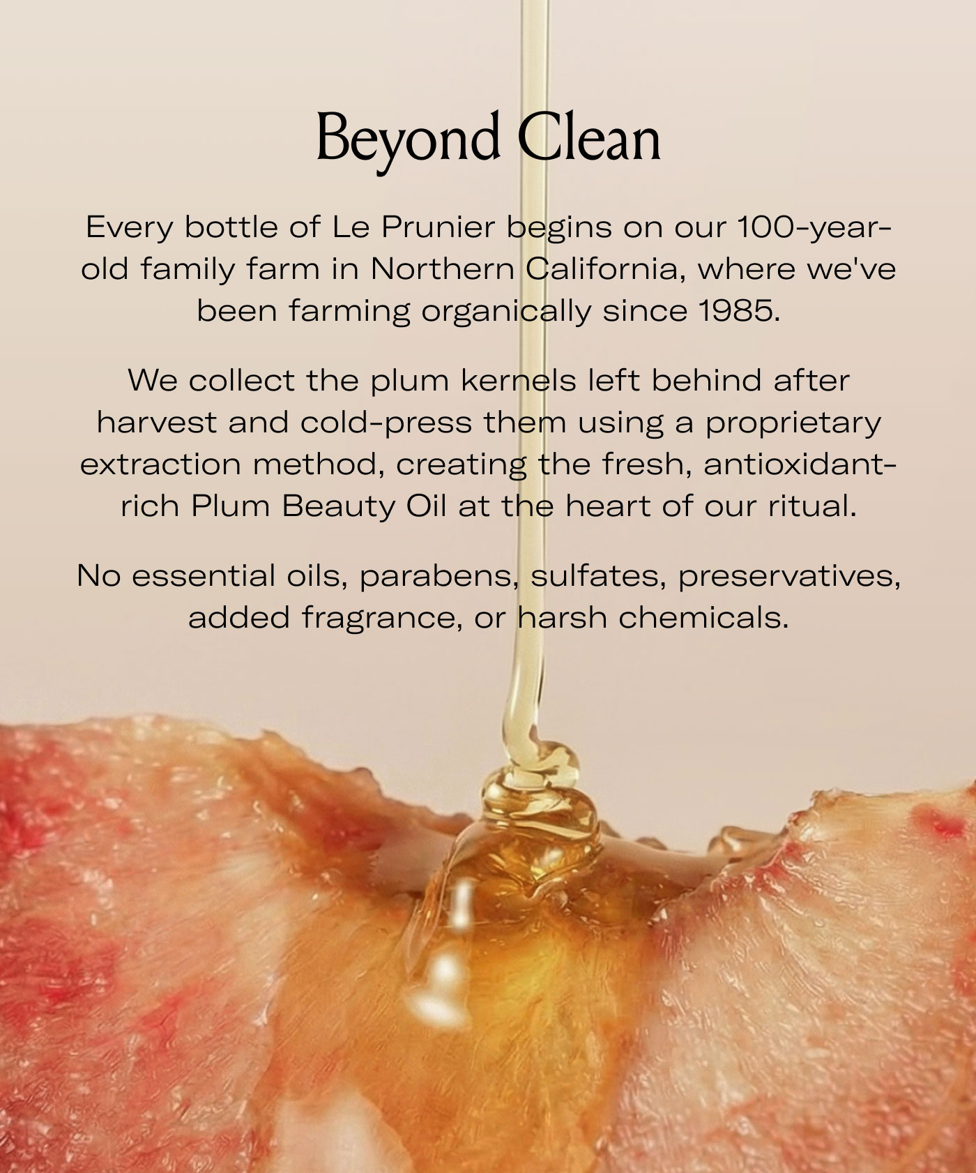 Beyond Clean  Every bottle of Le Prunier begins on our 100-year-old family farm in Northern California, where we've been farming organically since 1985.  We collect the plum kernels left behind after harvest and cold-press them using a proprietary extraction method, creating the fresh, antioxidant-rich Plum Beauty Oil at the heart of our ritual.  No essential oils, parabens, sulfates, preservatives, added fragrance, or harsh chemicals.