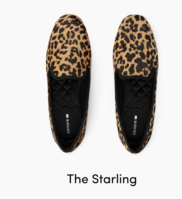The Starling in Leopard Print Haircalf