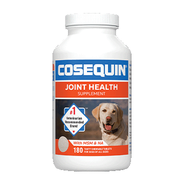 Cosequin Plus MSN & Hyaluronic Acid Joint Health Supplement for Dogs