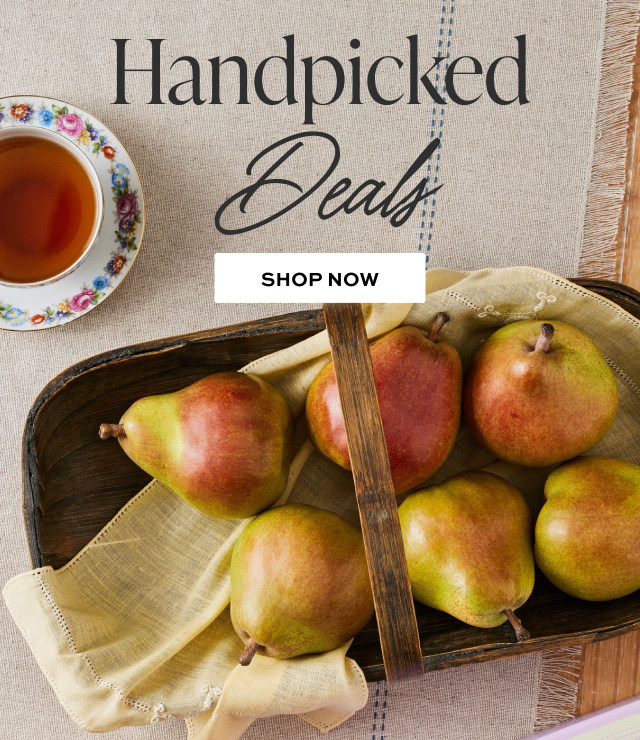 Handpicked Deals