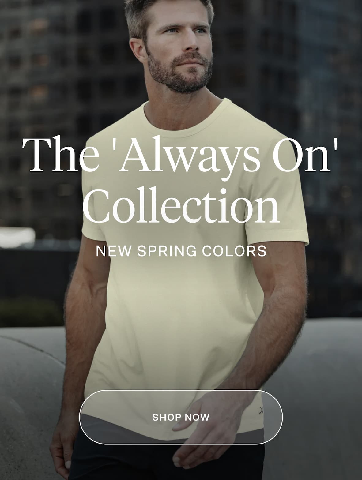 The AO Collection