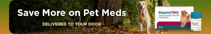 Save more on pet meds delivered to your door