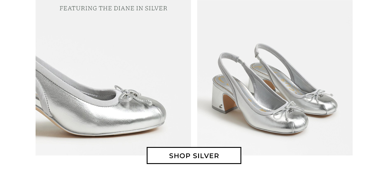 Shop Silver