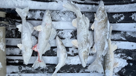 Ice Fishing
