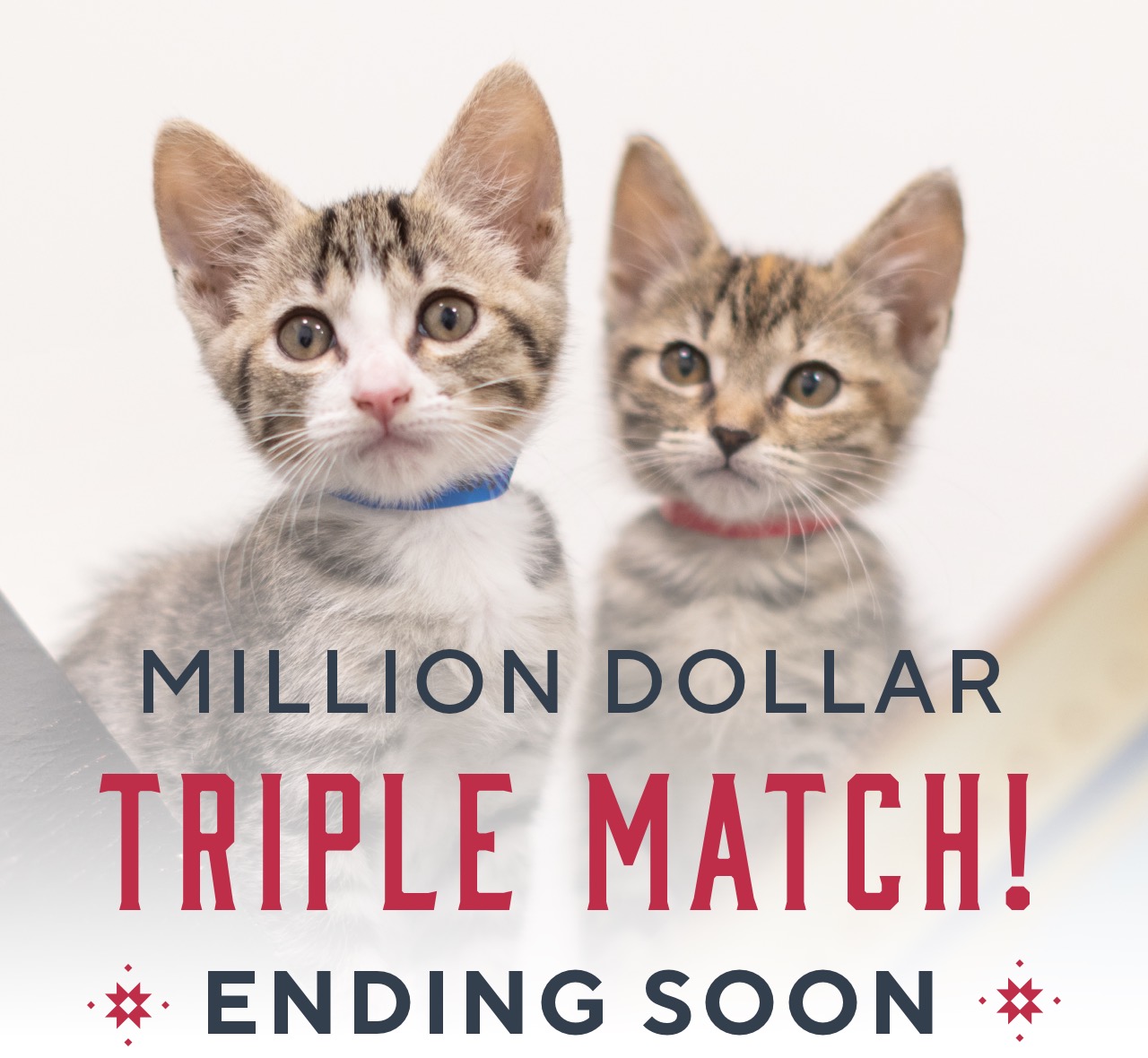 DEADLINE: MIDNIGHT MILLION DOLLAR TRIPLE MATCH ENDING SOON!