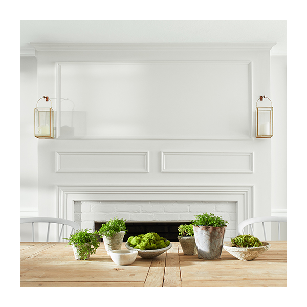 Dining room with white-painted walls featuring a large wooden table with potted plants and white chairs.