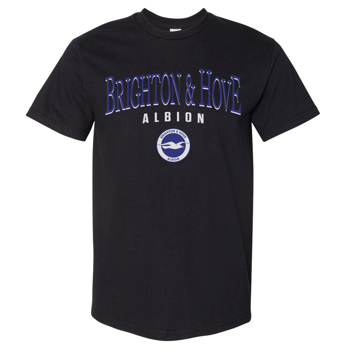 Image of Brighton & Hove Albion Arch WHT