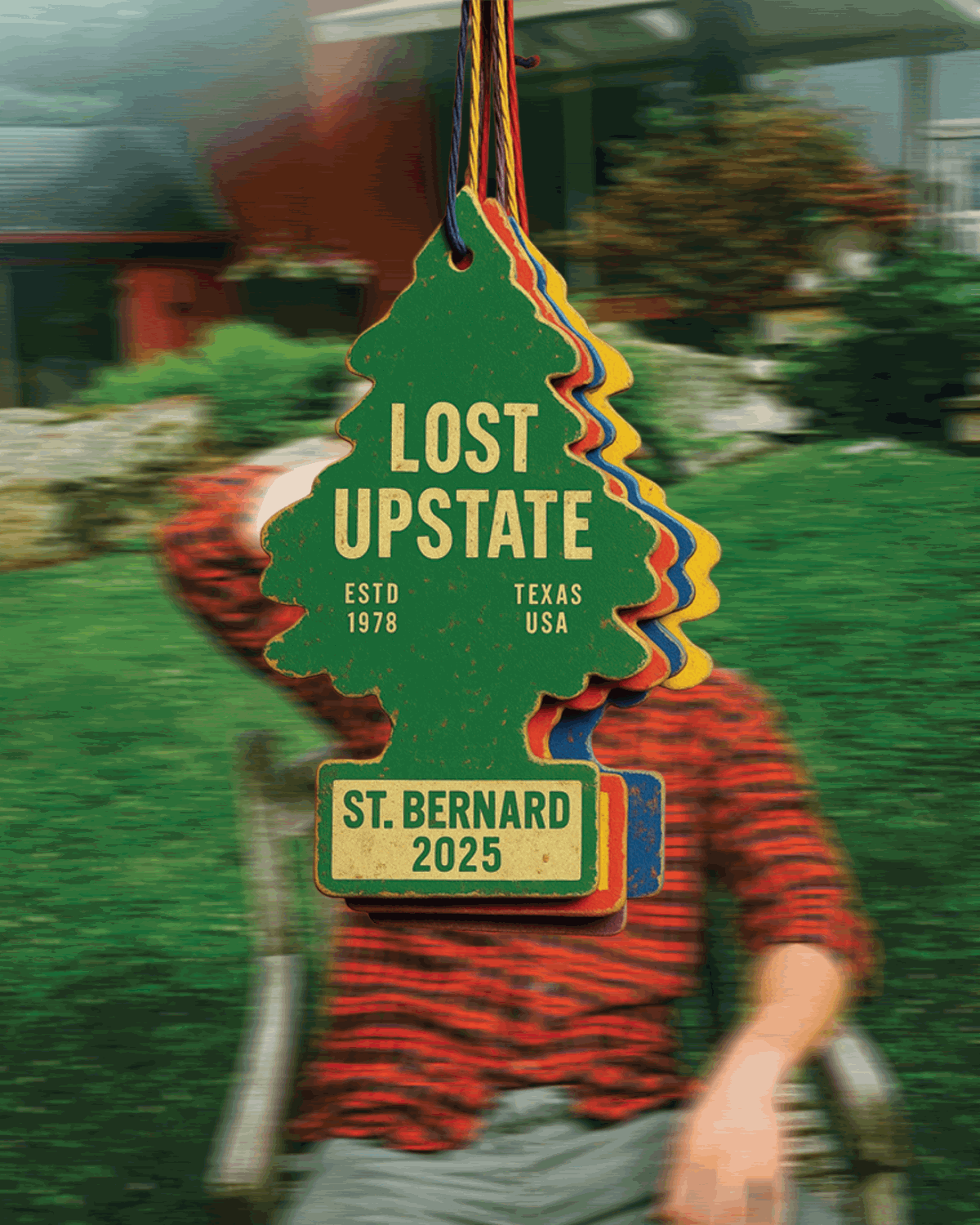 Lost Upstate
