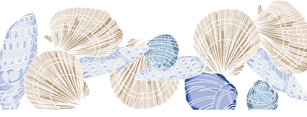 Shells