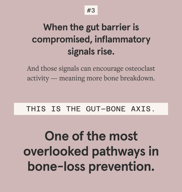 When the gut barrier is compromised, inflammatory signals rise.