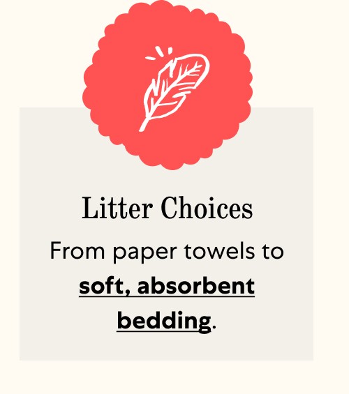 Litter Choices From paper towels to soft, absorbent bedding.