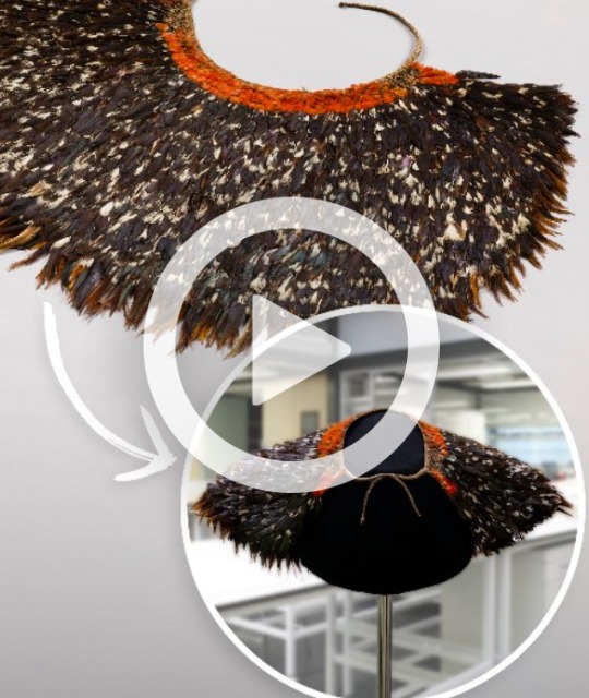 Image of a brown feathered cloak with a white play button over. 