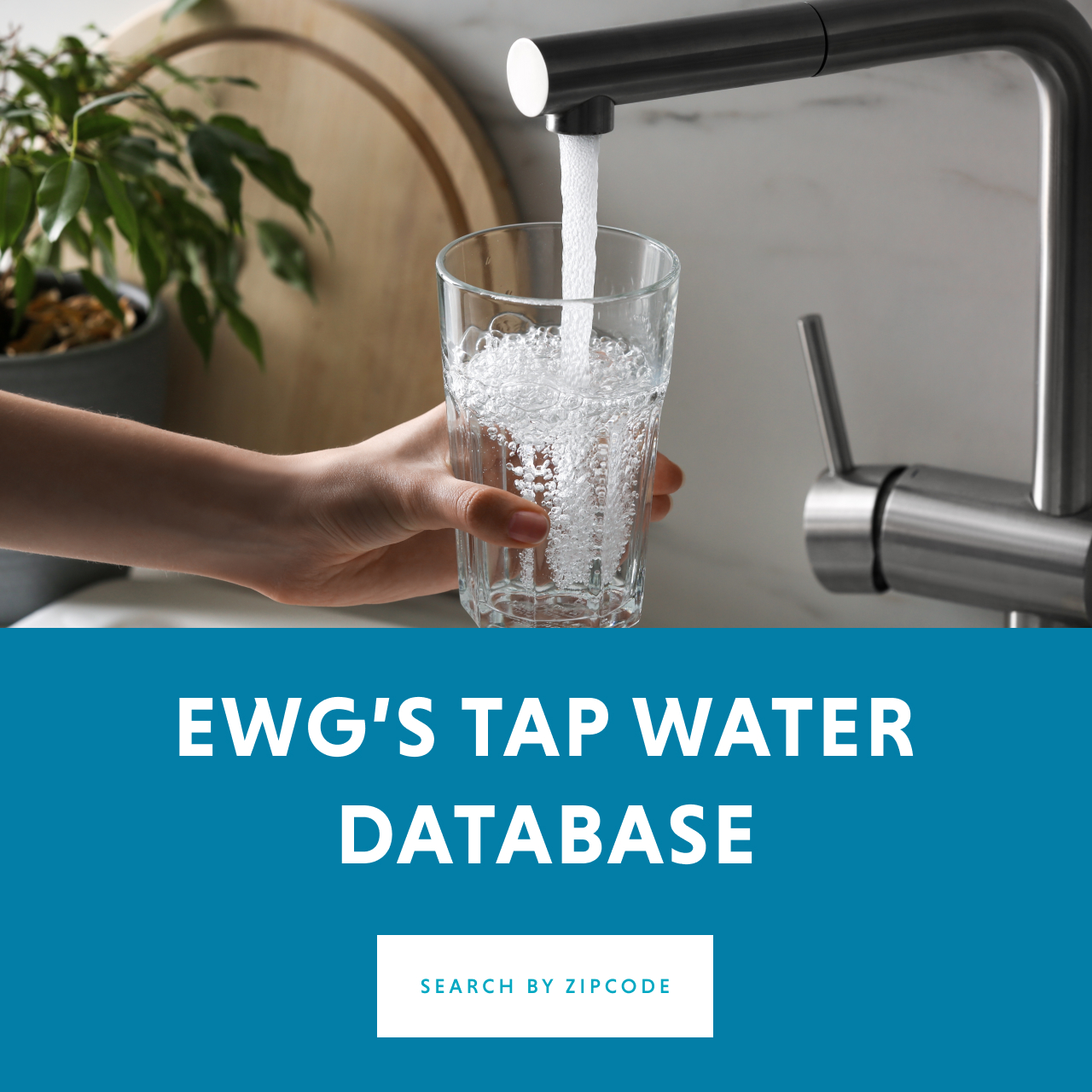 EWG's Tap Water Database